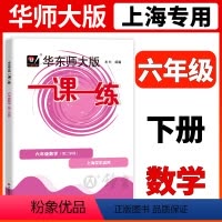 [正版]2024华东师大版一课一练六年级下册数学6年级下册第二学期华师大一课一练沪教版上海初中教辅同步配套练习册华东师