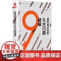青年班主任的九大问题破解 大夏书系