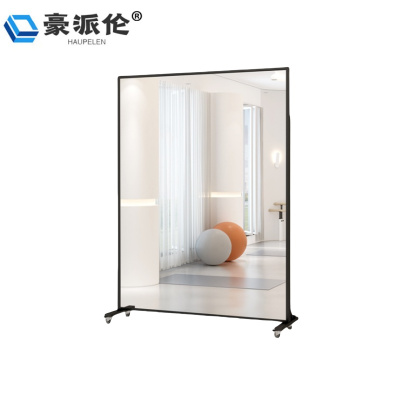 豪派伦穿衣镜移动个