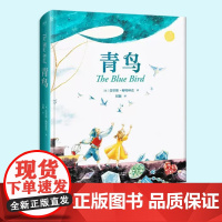 正版童书 青鸟 全彩精装珍藏版 中文分级阅读青少年版6/六年级小学生课外阅读儿童文学世界名著经典书目