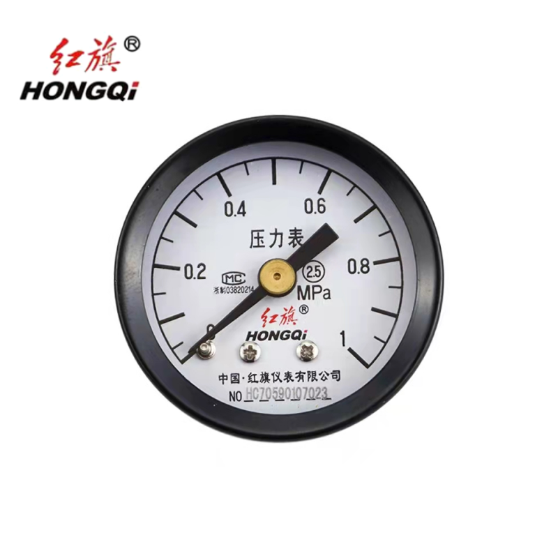 红旗 轴向压力表定制检测款 Y40Z(压力值需备注) 块