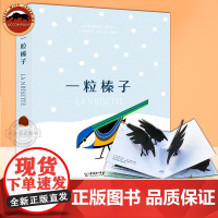 一粒榛子儿童艺术绘本 精致立体书 大自然纸上科普书籍正版 法国安妮-弗洛朗丝·勒马松 3D立体艺术绘本 揭秘大自然科普绘