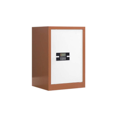 铭威盾保密柜财务档案柜文件柜办公室资料储物柜保险柜电子密码国保锁单门咖白-电子密码锁常规