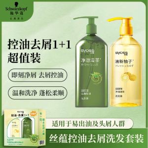 丝蕴净油蓬松洗发露去屑控油洗发水 去屑控油洗发套装(420ml+420ml)