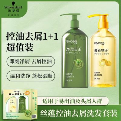 丝蕴净油蓬松洗发露去屑控油洗发水 去屑控油洗发套装(420ml+420ml)