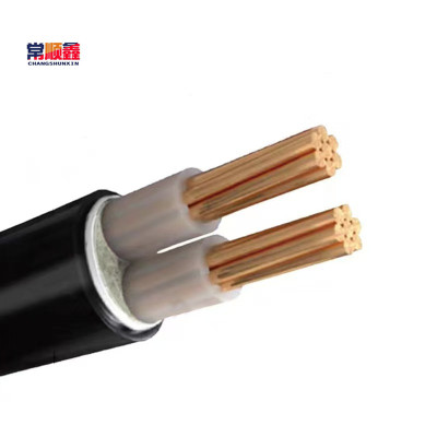 常顺鑫 低压铜芯电缆ZC-YJV2×10 米