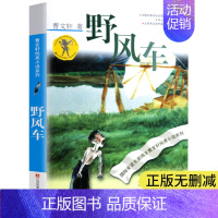 [正版]晨晔网 野风车 曹文轩纯美小说系列 青少年小学生课外阅读书籍8-9-10-12-15岁三四五六年级读物 儿童文学