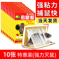 [补贴10%]10本强力粘鼠板 强力粘鼠板捉粘大老鼠沾胶抓灭鼠笼捕鼠夹神器正品家用一窝端