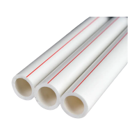 满盛达建 ppr管 直径20mm 米