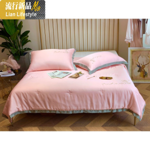 春夏季刺绣60支兰精天丝夏被空调被夏凉被可水洗双人春秋被 三维工匠被子