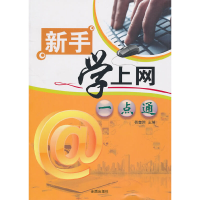 音像新手学上网一点通杨奎河 主编