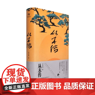 从木传 刘辰希 著 小说