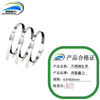泽隆鑫力不锈钢扎带 4.6*600mm 条
