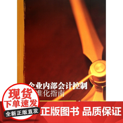 企业内部会计控制标准化指南