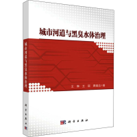 音像城市河道与黑臭水体治理王琳,王丽,黄绪达