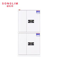 盛松林 保密柜 通双节1850*900*420mm 个