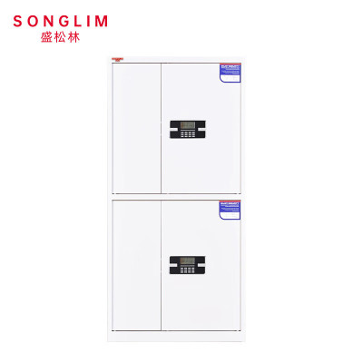 盛松林 保密柜 通双节1850*900*420mm 个
