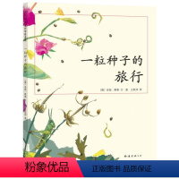 单本全册 [正版]一粒种子的旅行(德国青少年文学科普大奖杰作)一年级儿童文学绘本 7-10-12岁小学生课外阅读书籍图画