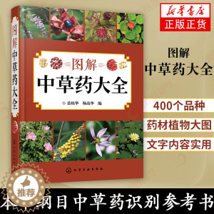 [醉染正版]图解中草药大全 中医入门中草药大全书籍药材植物彩图中药大全 中医养生保健大全中草药识别百科全书 本草纲目中草