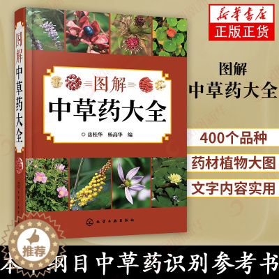 [醉染正版]图解中草药大全 中医入门中草药大全书籍药材植物彩图中药大全 中医养生保健大全中草药识别百科全书 本草纲目中草