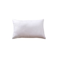 扬正通 枕头 YZT002 个