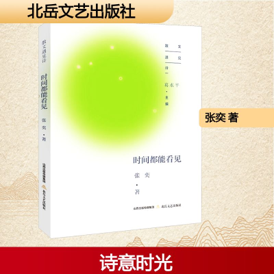 正版新书]时间都能看见张奕 著9787537870856