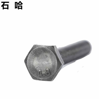 石哈4.8级外六角螺栓-C级 M20*70 (个)