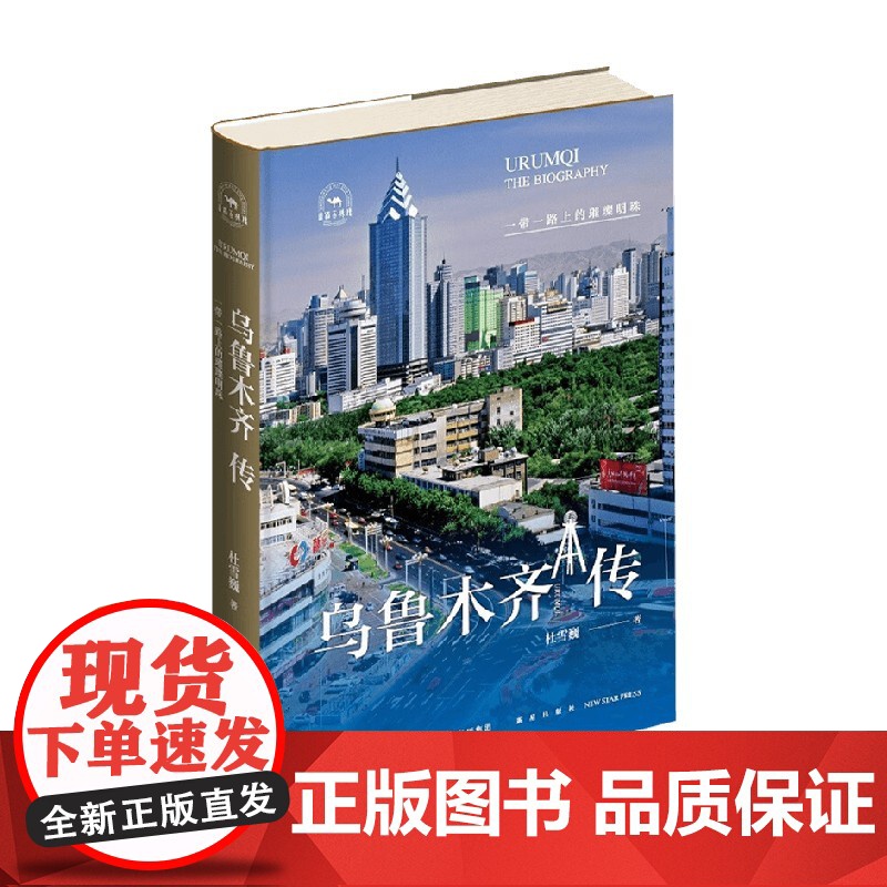 乌鲁木齐传 杜雪巍 著 历史