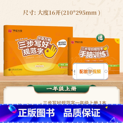 一年级上册 [正版] 三步写好规范字 一年级二年级字帖三年级上册小学生语文同步练字贴四五六年级儿童描红控笔正姿横式字帖练