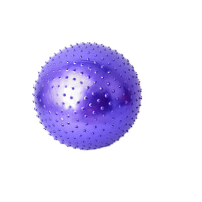 儿童早教球玩具瑜伽球健身球大龙球颗粒感统训练器材平衡球紫红色55cm(身高150-160cm)