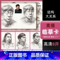 [正版]素描临摹卡头像结构与大关系 2022素描人物头像肖像结构大关系完整稿五官局部照片范画临摹范本院校高联考央美术8