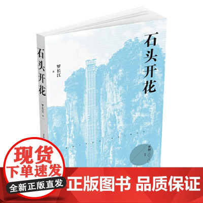 石头开花(梦圆二〇二〇丛书)
