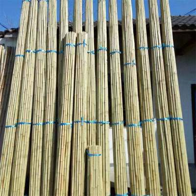 根泰鑫源竹竿扫把杆2X300CM/捆(50根)