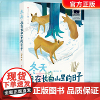 冬天,住在长白山里的日子2024寒假百班千人四年级天天出版社 四年级课外书小学生课外阅读书籍儿童文学读物寒假暑假经典书目