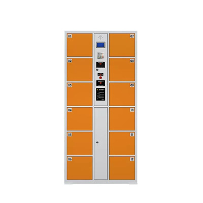 锦北 电子存包柜商场超市智能物品寄存柜员工衣物储存柜 12门红外条码
