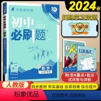 数学 七年级下 [正版]2024新人教版初中七年级下册数学同步练习册理想数真题培优专项训练初一教辅复习资料七下数学狂K重