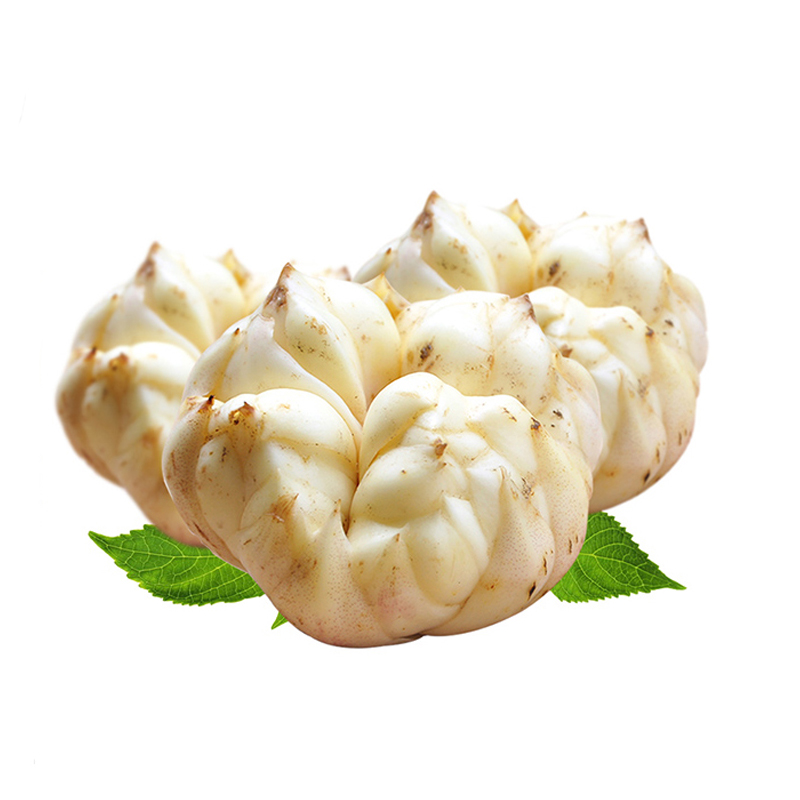 大别山新鲜百合新鲜蔬菜鲜百合3斤实惠装 食用药百合 非兰州百合菜