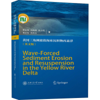 音像黄河三角洲波致海床沉积物再悬浮(英文版)贾永刚 等