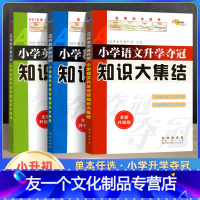 知识大集结 语数英(3本) 小学升初中 [友一个正版]2022小升初衔接知识大集结小学语文数学英语升学夺冠基础重点知识大