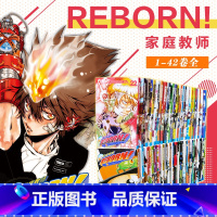 1-42全套 [正版]家庭教师漫画书套装 1-42册可选 完结 家庭教师漫画 日本漫画书 天野明日本漫画家庭教师漫画