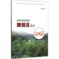 正版新书]山西东南部森林鳞翅目昆虫白海艳9787503877636
