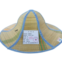飞翔大雁 折叠草帽 工作帽(均码)顶