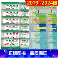 语文(试卷+答案) 2020年 高考二模卷 [正版]2018-2024上海市领先一步 走向成功语文数学英语物理化学政治历
