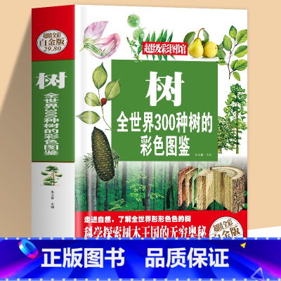 树 全世界300种树的彩色图鉴 [正版] 树 全世界300种树的彩色图鉴 全世界300种树 全世界80种昆虫的彩色图鉴世
