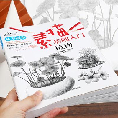 正版新书]素描基础入门--植物七彩绘工作室 绘9787531483205