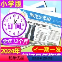 C[小学版少年报/一期一发]2024年6月-2025年5月 [正版]1-6月全年订阅阳光少年报/好奇号/好奇星球20