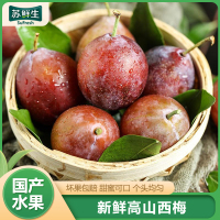 [苏鲜生]山西高山西梅 净重4.5斤装 当季时令水果整箱 酸甜可口