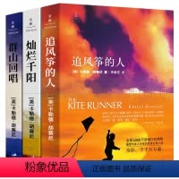 [正版]追风筝的人+灿烂千阳+群山回唱全套3册中文版 胡赛尼著 胡赛尼三部曲胡塞尼 珍藏版 经典外国文学长篇小说书
