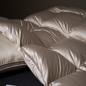 奢品5A羽绒被子高蓬松95白鹅绒高端立体冬被加厚保暖被芯单双人被