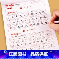 [正版]小学生练字帖一年级二年级三四五六七八字帖上册下册每日一练笔画笔顺语文生字同步描红人教版习写字硬笔书法练字本贴儿